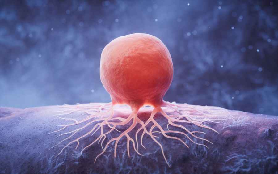 Cancers inhibited by embryonic stem cell protein