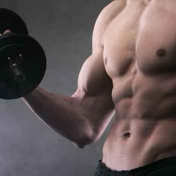 muscles2.jpg
